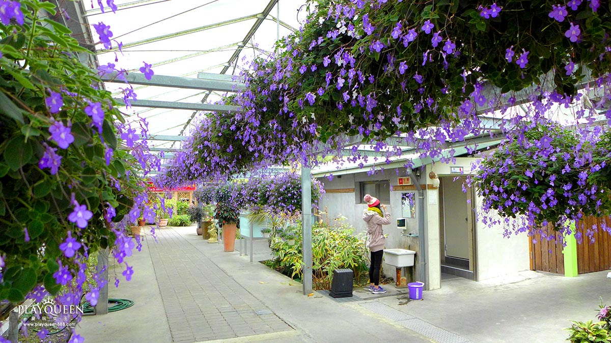 彰化田尾菁芳園