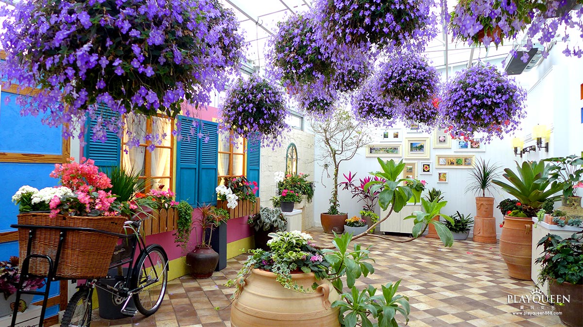 彰化田尾菁芳園