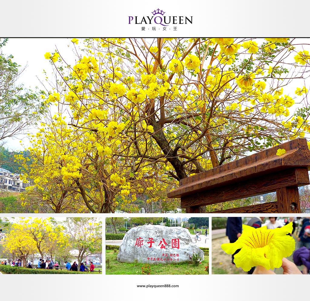 廍子公園,黃花風鈴木,黃金風鈴木、親子旅遊,IG拍照,台中景點、愛玩女王 image