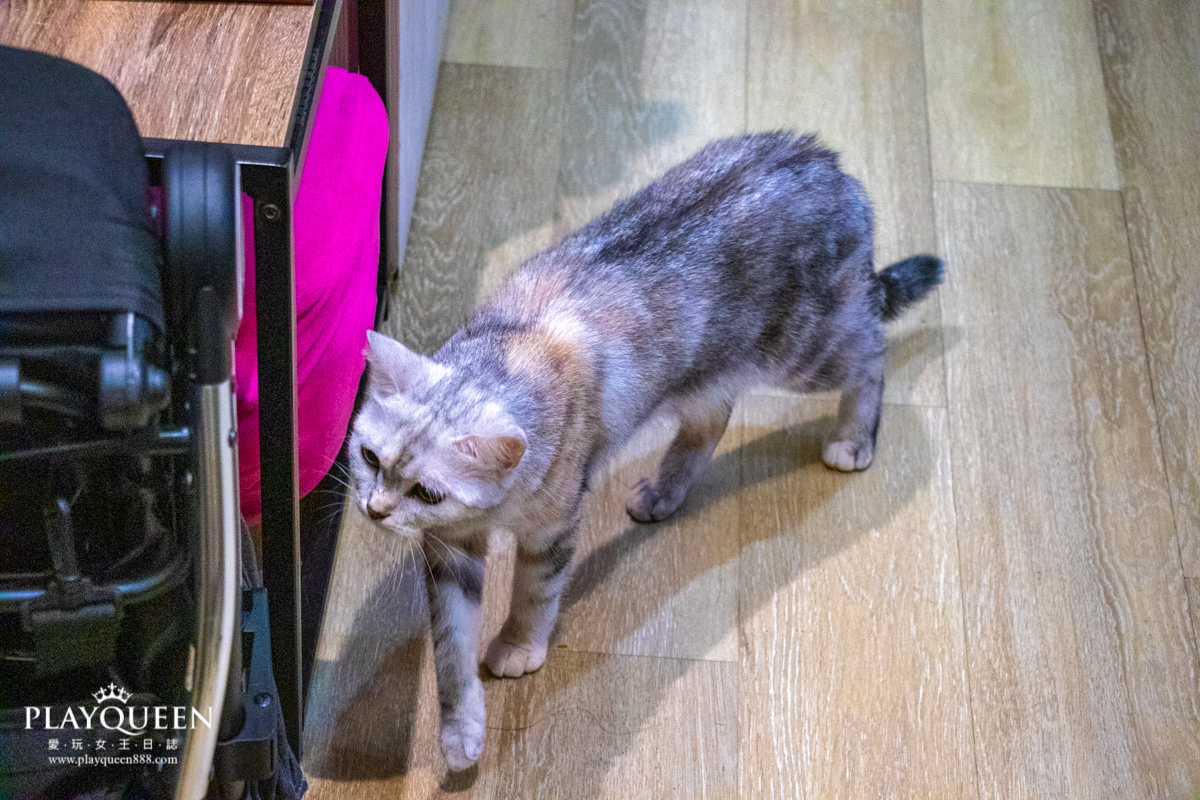 森林小徑文心店 台中美食