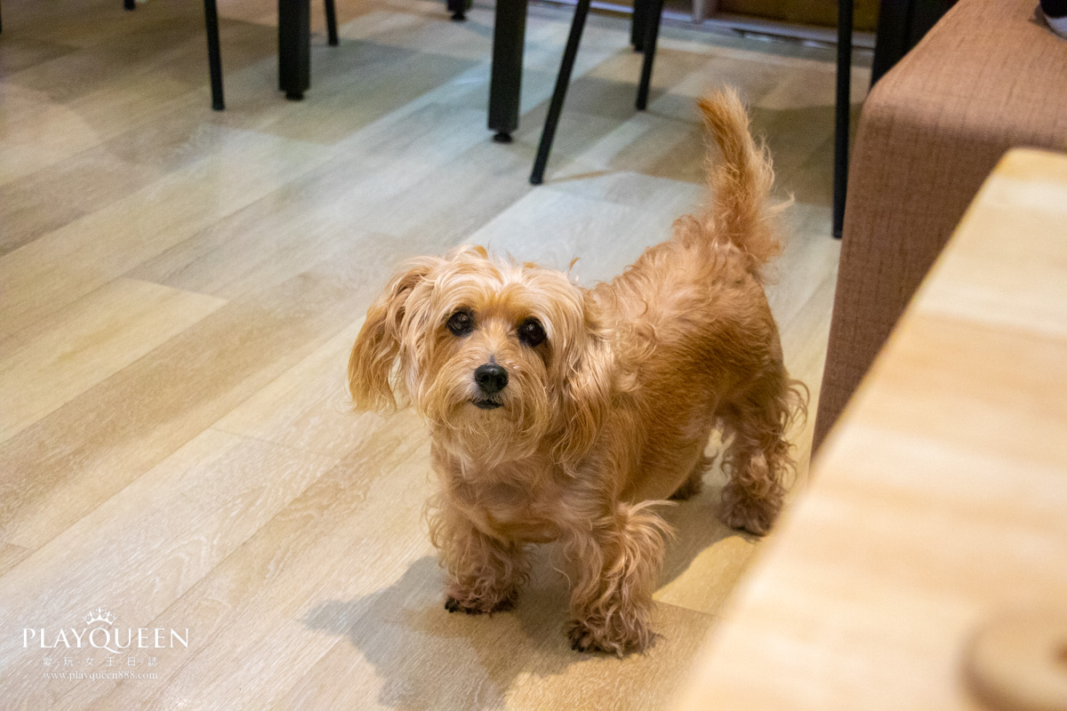 森林小徑文心店 台中美食