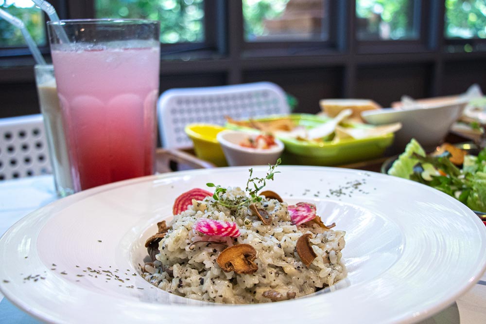 綠萼159創意料理 綠萼159創意料理