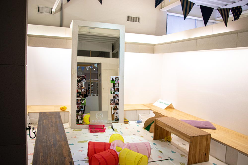 綠萼159創意料理 綠萼159創意料理