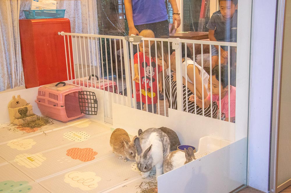 綠萼159創意料理 綠萼159創意料理