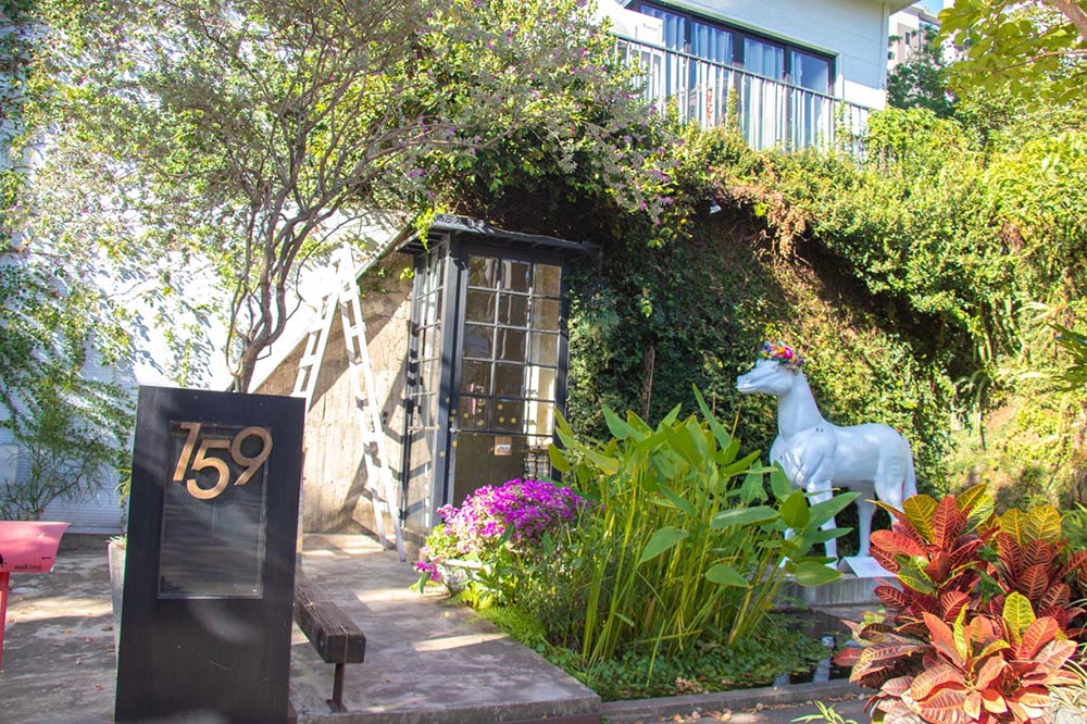 綠萼159創意料理 綠萼159創意料理