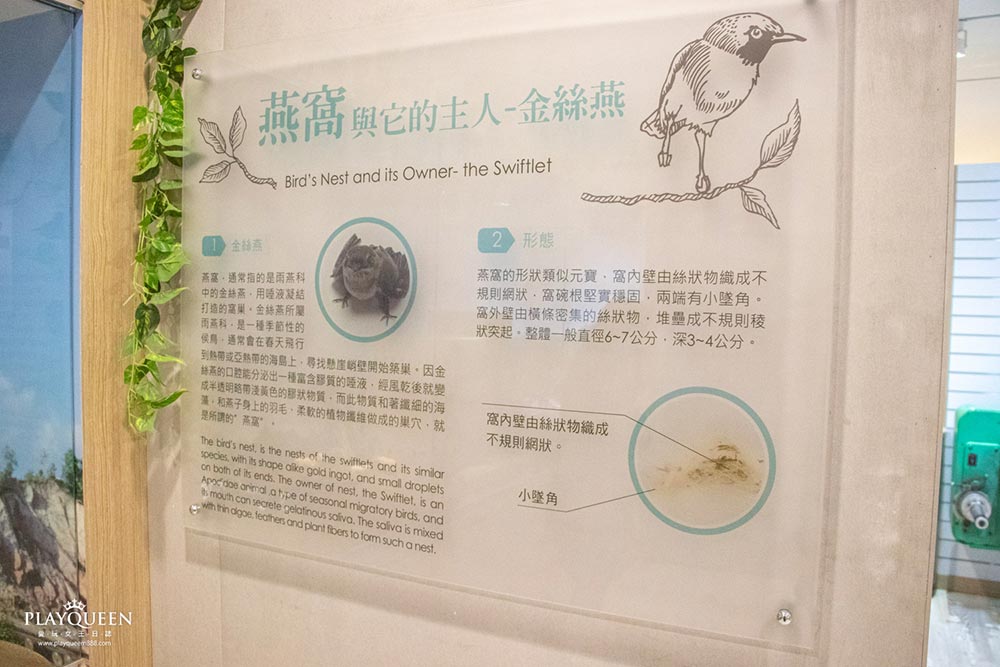 新百祿燕窩觀光工廠