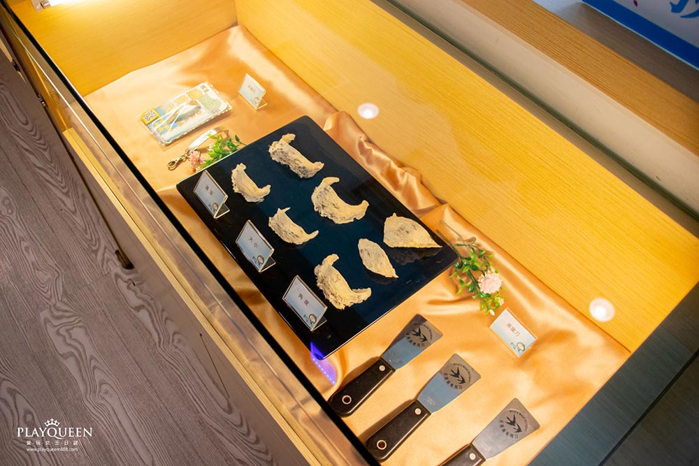 新百祿燕窩觀光工廠