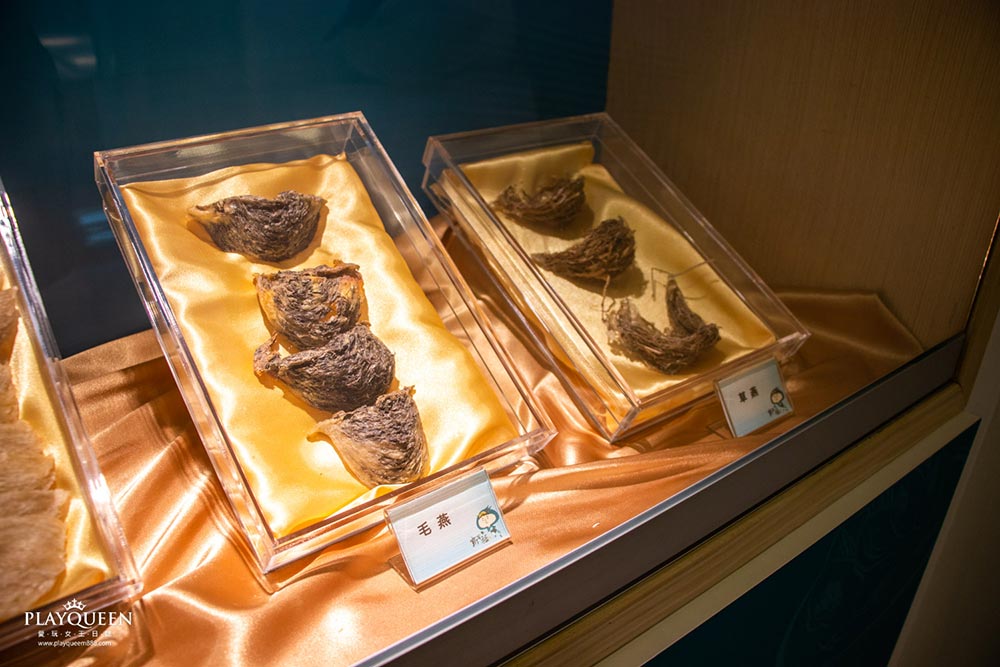 新百祿燕窩觀光工廠