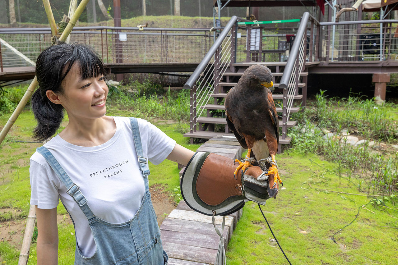 2026高雄親子景點推薦 野森動物學校｜全台唯一狐狸谷能近距離互動的親子動物園，狐狸谷、沙丘部落、水豚森林，夏日優惠9/30前買大送小