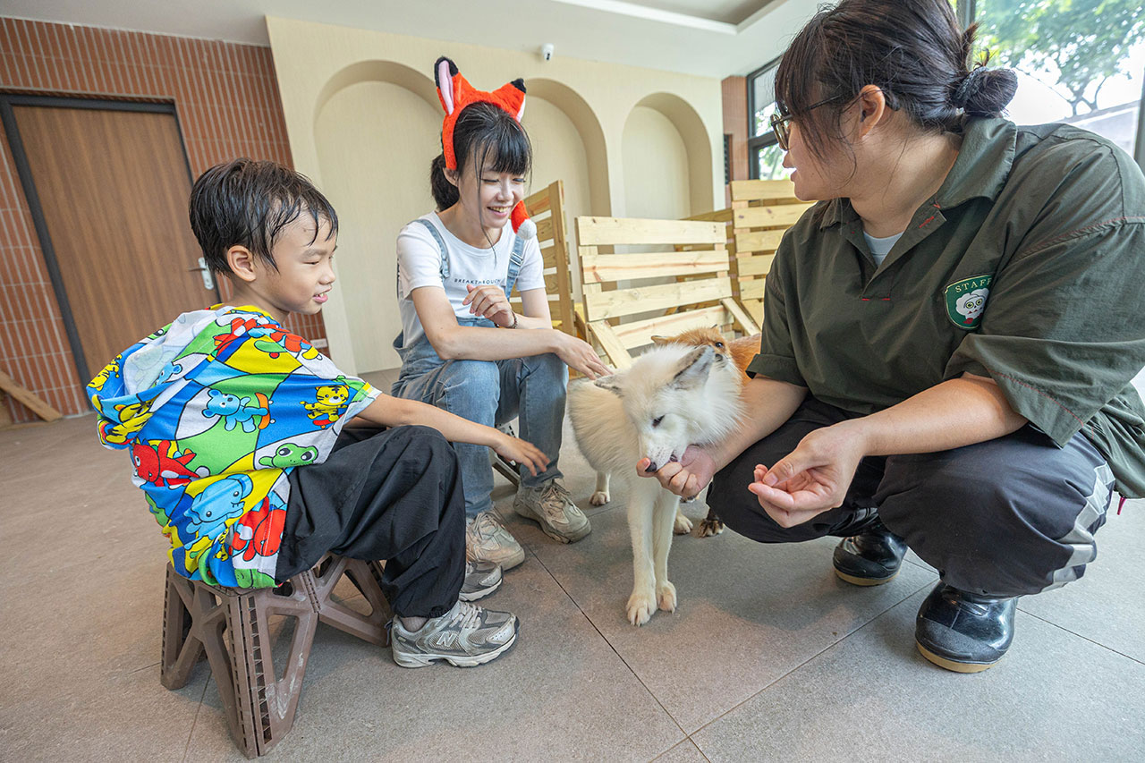 2026高雄親子景點推薦 野森動物學校｜全台唯一狐狸谷能近距離互動的親子動物園，狐狸谷、沙丘部落、水豚森林，夏日優惠9/30前買大送小