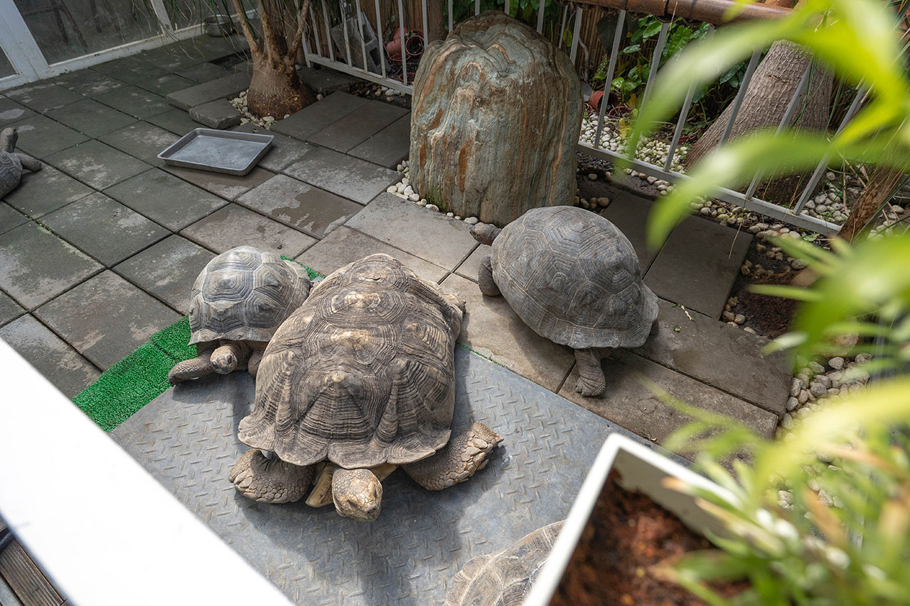 來馬食光｜苗栗親子餐廳推薦，超豐盛南洋料理冬季限定鍋物，南洋甜點下午茶美食吃到爽，2026頭份火鍋推薦！