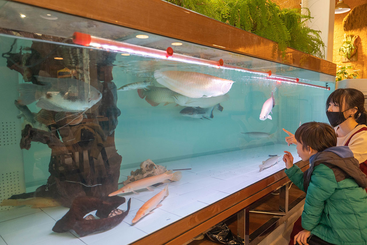 來馬食光｜苗栗親子餐廳推薦，超豐盛南洋料理冬季限定鍋物，南洋甜點下午茶美食吃到爽，2026頭份火鍋推薦！