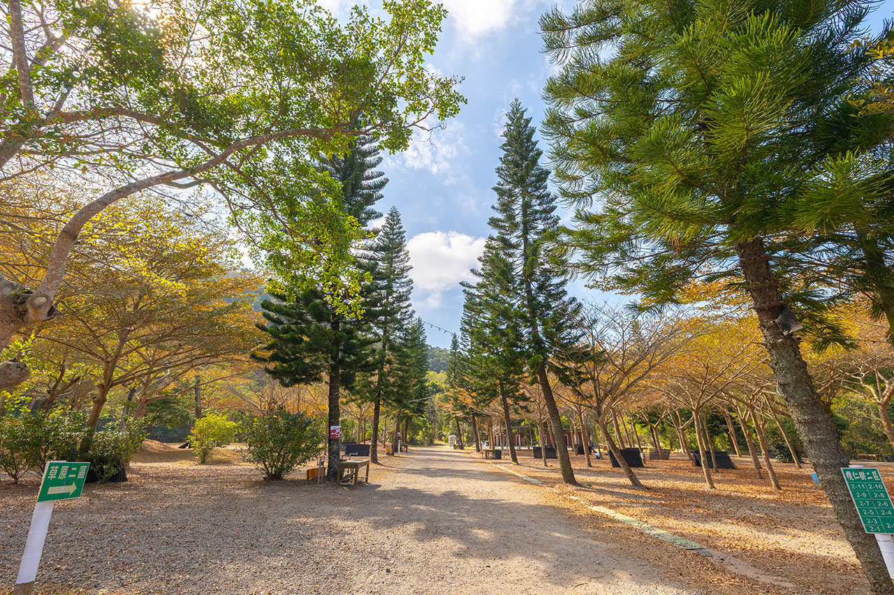 不遠山莊｜苗栗三義超美台灣合掌村，露營野奢營火烤肉聚餐，跳跳床、滑梯，超美鹿角咖啡吃喝玩樂一次滿足！2026苗栗景點推薦