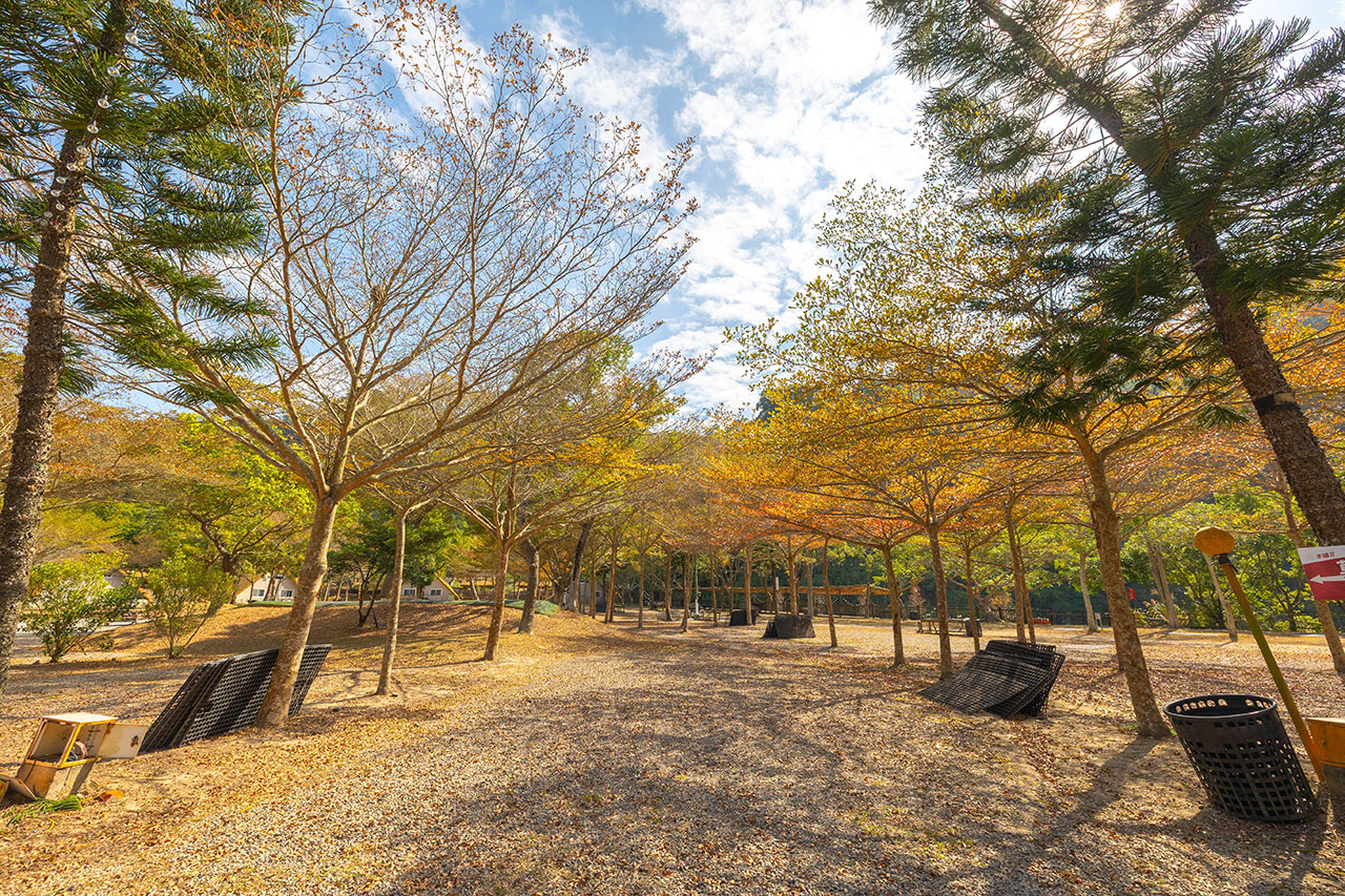 不遠山莊｜苗栗三義超美台灣合掌村，露營野奢營火烤肉聚餐，跳跳床、滑梯，超美鹿角咖啡吃喝玩樂一次滿足！2026苗栗景點推薦