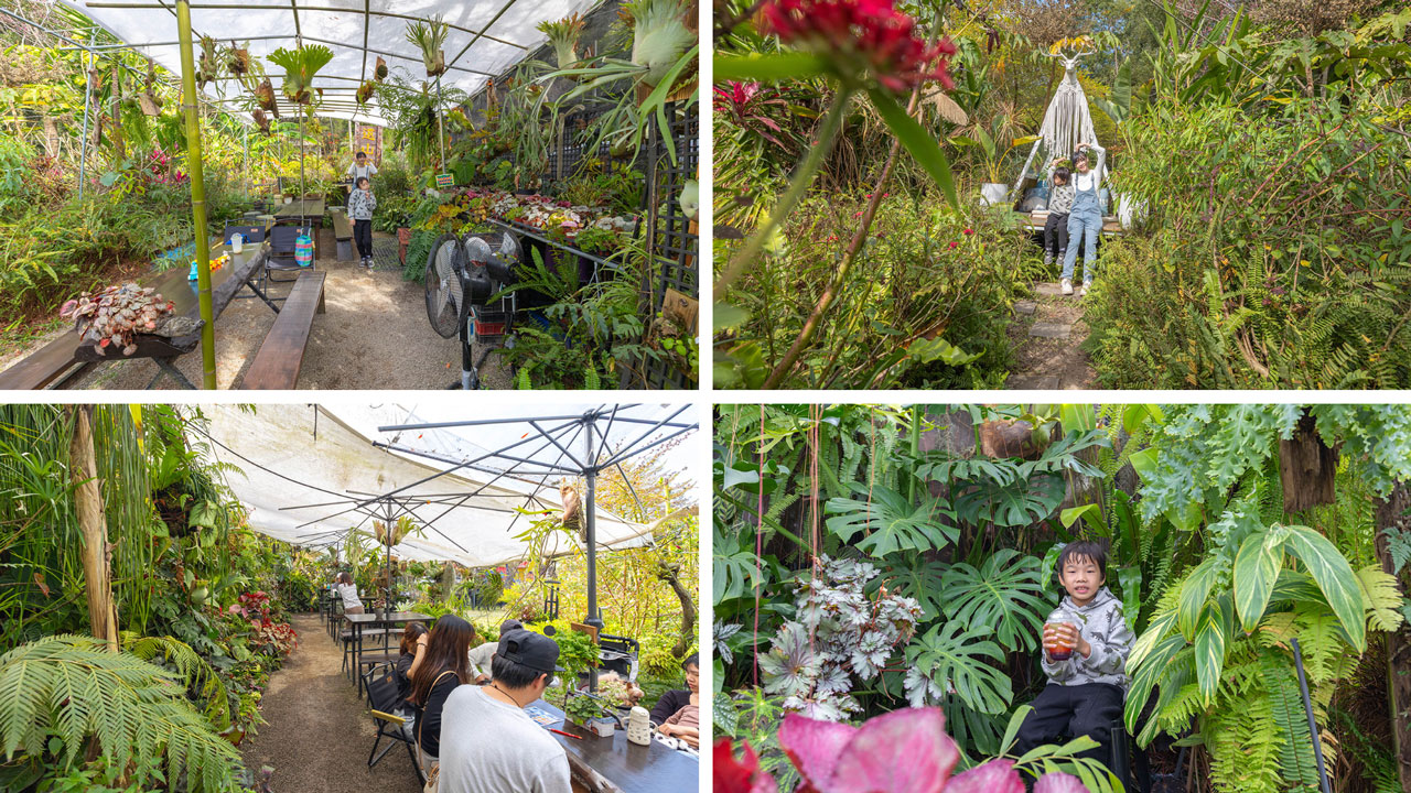 不遠山莊｜苗栗三義超美台灣合掌村，露營野奢營火烤肉聚餐，跳跳床、滑梯，超美鹿角咖啡吃喝玩樂一次滿足！2026苗栗景點推薦