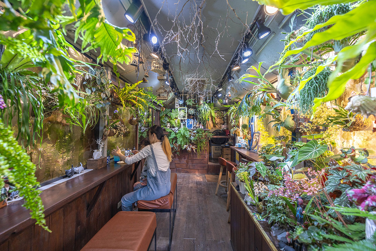 不遠山莊｜苗栗三義超美台灣合掌村，露營野奢營火烤肉聚餐，跳跳床、滑梯，超美鹿角咖啡吃喝玩樂一次滿足！2026苗栗景點推薦