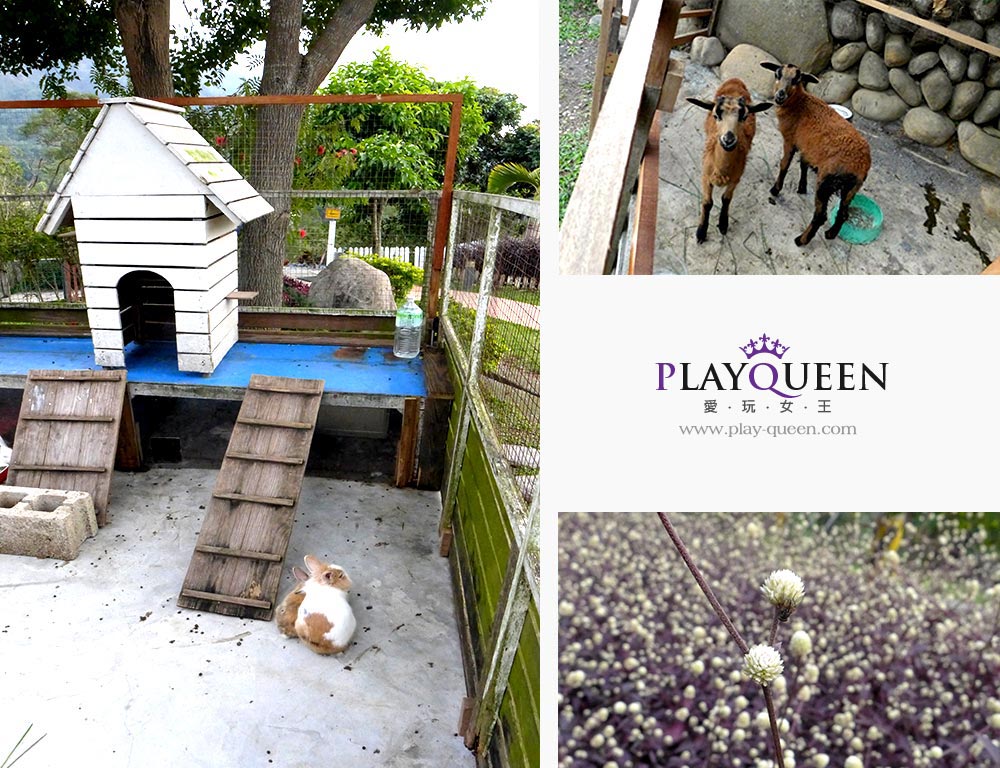 青青湖畔生態區